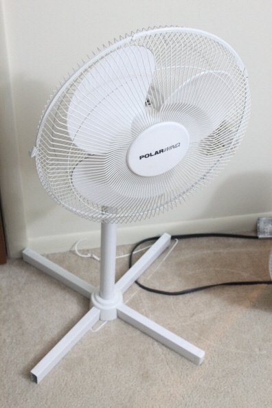 Fan (2).JPG