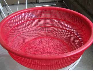 plastic basket.jpg