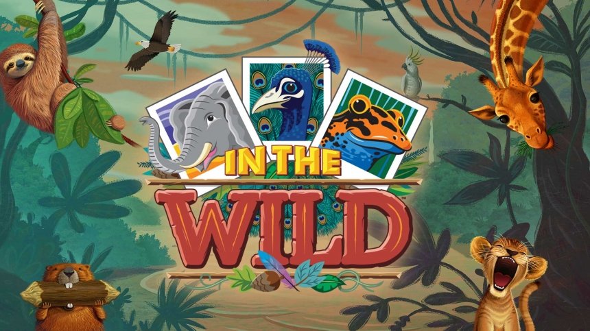 web-121430-DirectoryPhoto1-In the Wild VBS.jpg