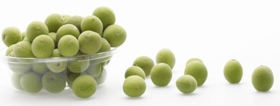 ume.jpg