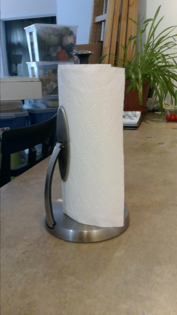 10 Paper Towel Holder.jpg