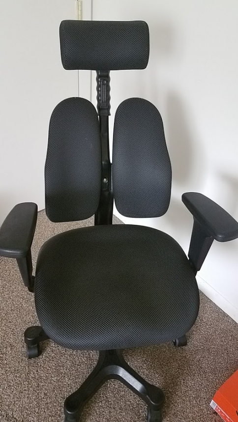 duo back chair.jpg