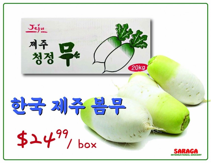 제주봄무-01.jpg