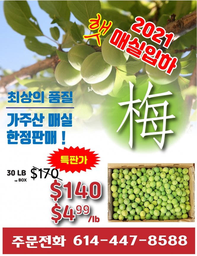 2021년 매실입하-가격인하-01.jpg
