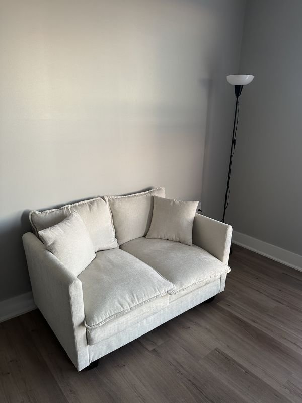 Sofa full condition.jpg