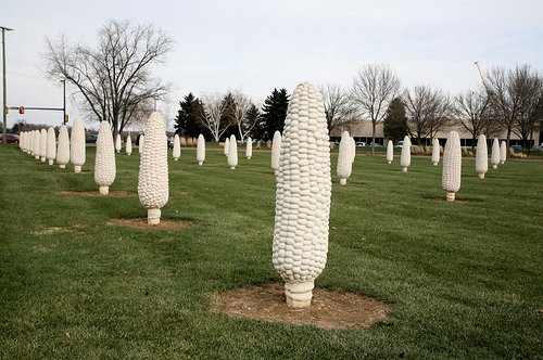 corndublinohio.jpg