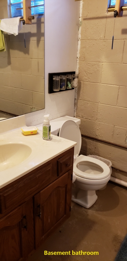 16 Basement bathroom.jpg