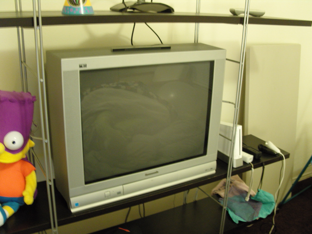 TV&Wii (2).JPG