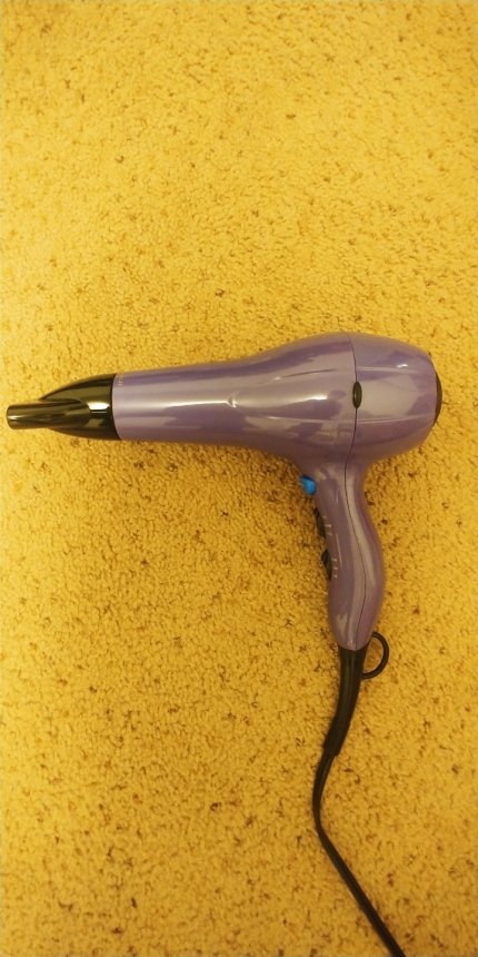 costco hair dryer